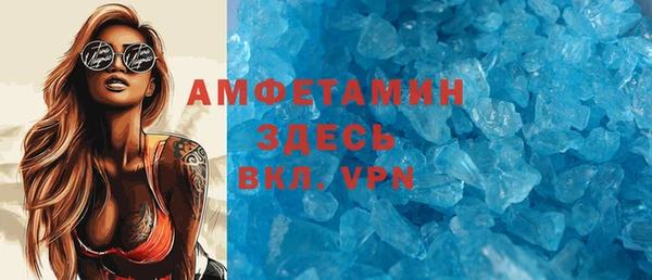 индика Нягань