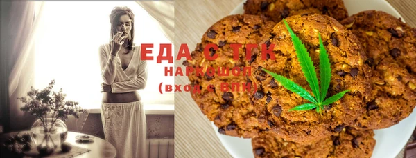 индика Нягань