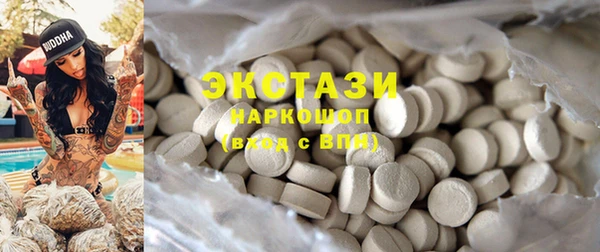 индика Нягань