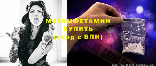 индика Нягань