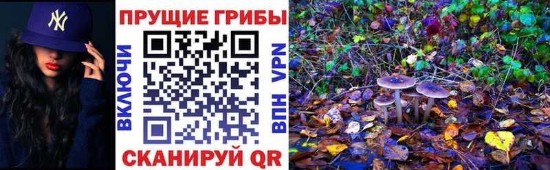 Псилоцибиновые грибы мицелий  Краснослободск 